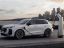Q3 SUV e-Hybrid