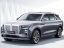 紅旗 (Hongqi) E-HS9