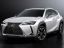 雷克萨斯 (Lexus) UX250h