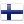 FIN