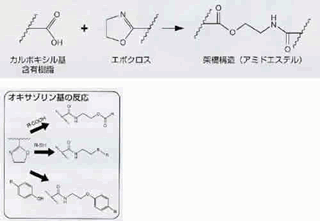 特徴