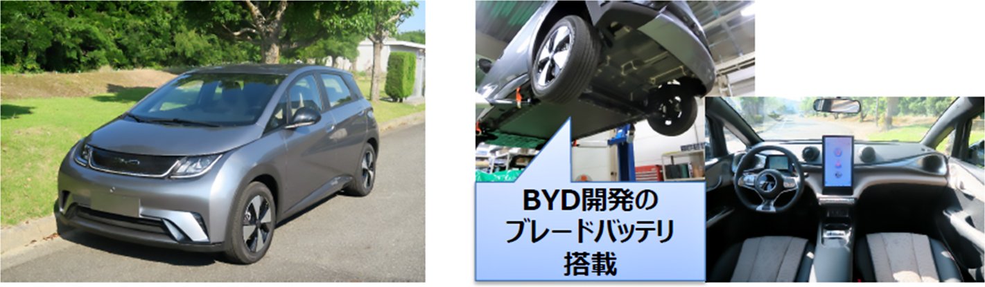 BYD Dolphin